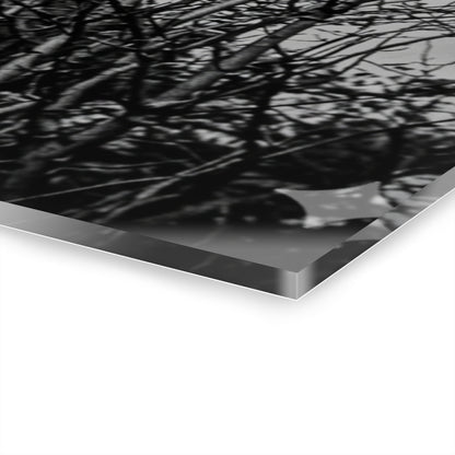 Black & White Buzzards in Winter Trees French Cleat Hanging - - Home Decor