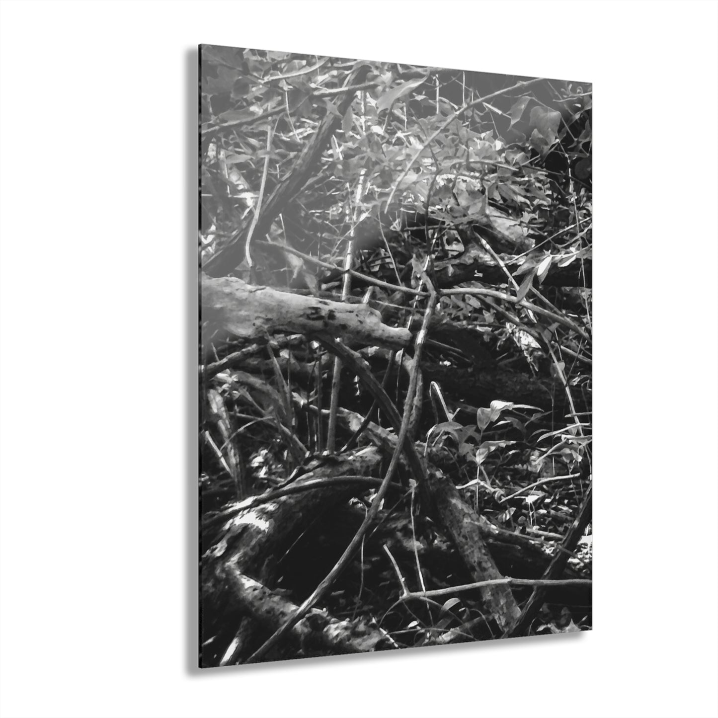 Black & White Deep Timber Path Acrylic Print French Cleat Hanging - 16″ x 20″ (Vertical) 0.25'' - Home Decor