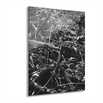 Black & White Deep Timber Path Acrylic Print French Cleat Hanging - 16″ x 20″ (Vertical) 0.25'' - Home Decor