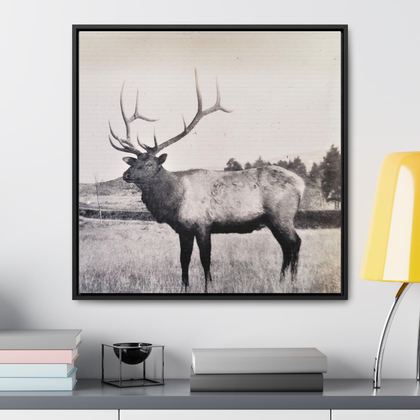 Yellowstone Bull Elk Gallery Canvas Wraps, Square Frame