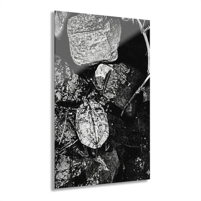 Black & White Turtle Macro Acrylic Print — Modern Nature Wall Art French Cleat Hanging - 20″ x 30″ (Vertical) 0.25'' - Home Decor