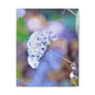 Macro Blue Canvas Gallery Wraps 8″ x 10″ 1.25"