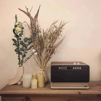 Wood Radio With Built-In 30W Speakers With Dual Speakers and Bass Support