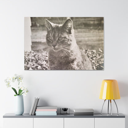 Caledonia Canvas Gallery Wraps 48″ x 32″ 1.25"