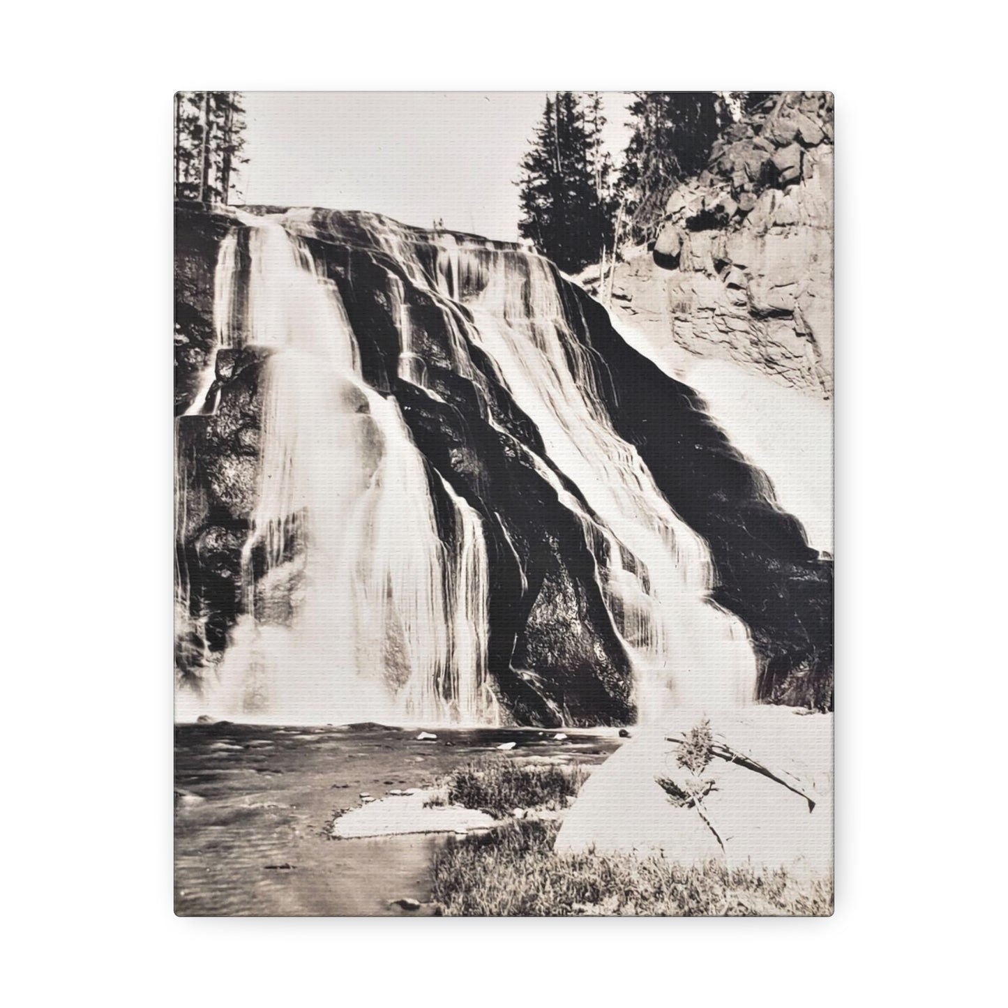 Gibbon Falls Yellowstone Stretched Canvas