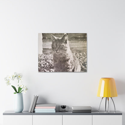 Caledonia Canvas Gallery Wraps 30″ x 24″ 1.25"