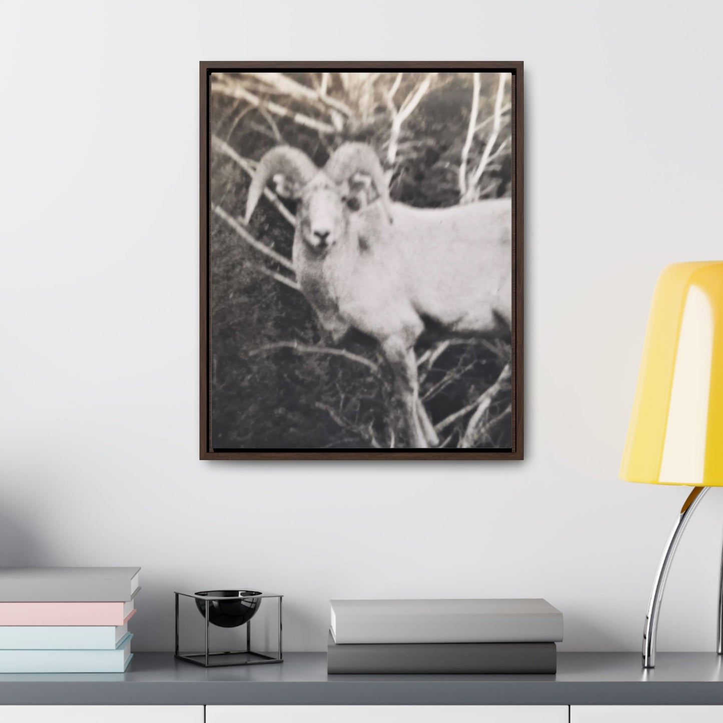 Yellowstone Big Horn Sheep Gallery Canvas Wraps Vertical Frame 16″ x 20″ Premium Gallery Wraps (1.25″) Walnut