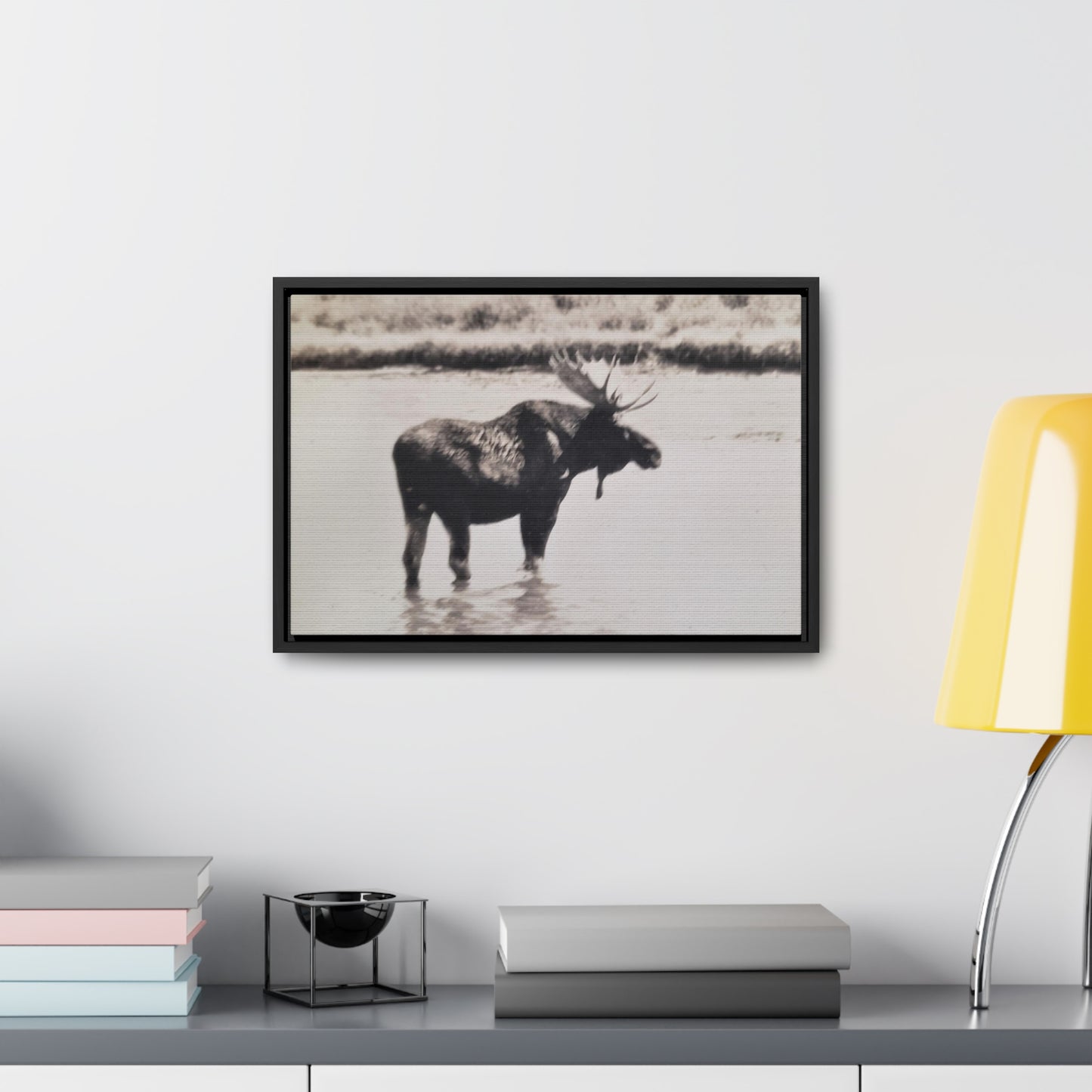 Yellowstone Bull Moose Gallery Canvas Wraps, Horizontal Frame