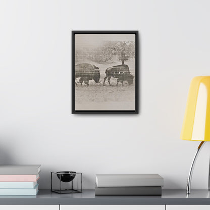 Buffalo at Redwood Falls Gallery Canvas Wraps Vertical Frame 11″ x 14″ Premium Gallery Wraps (1.25″) Black