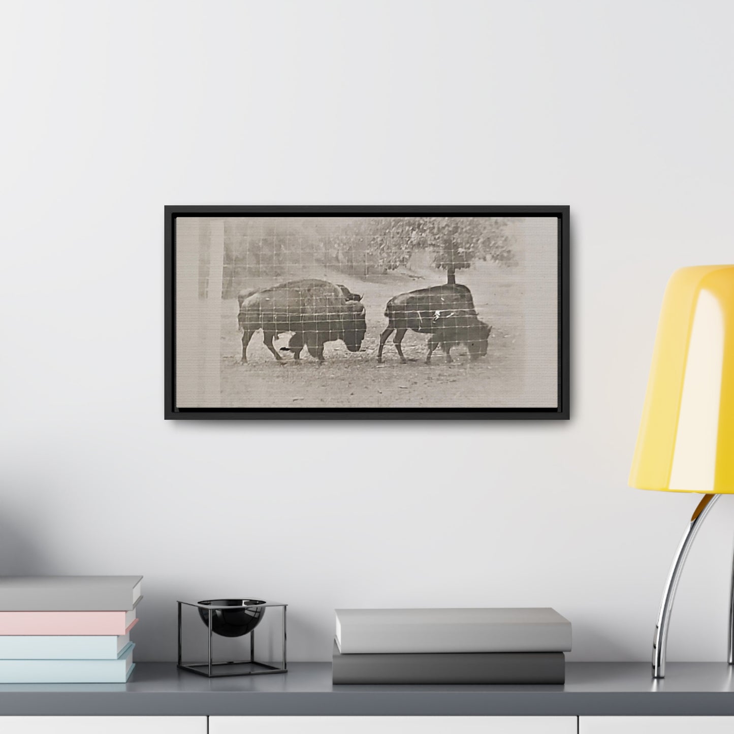 Buffalo at Redwood Falls Gallery Canvas Wraps, Horizontal Frame