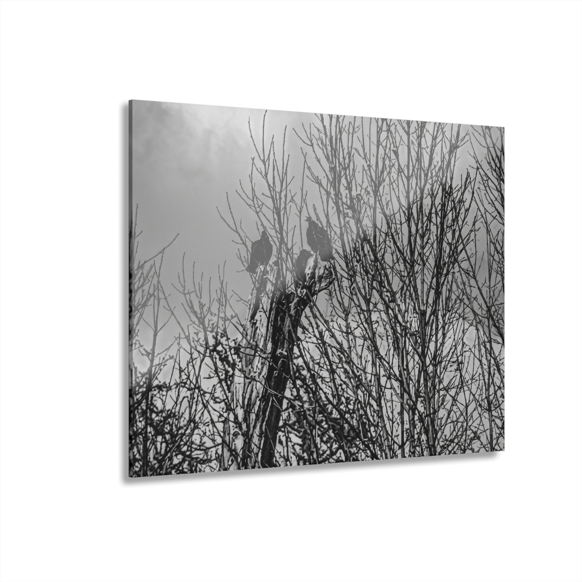 Black & White Buzzards in Winter Trees French Cleat Hanging - - Home Decor
