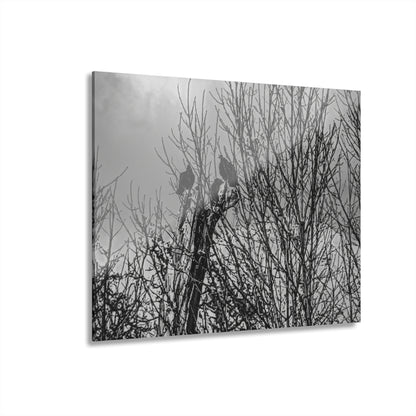 Black & White Buzzards in Winter Trees French Cleat Hanging - - Home Decor