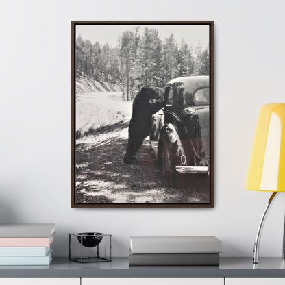 Yellowstone Bear Car Gallery Canvas Wraps Vertical Frame 18″ x 24″ Premium Gallery Wraps (1.25″) Walnut