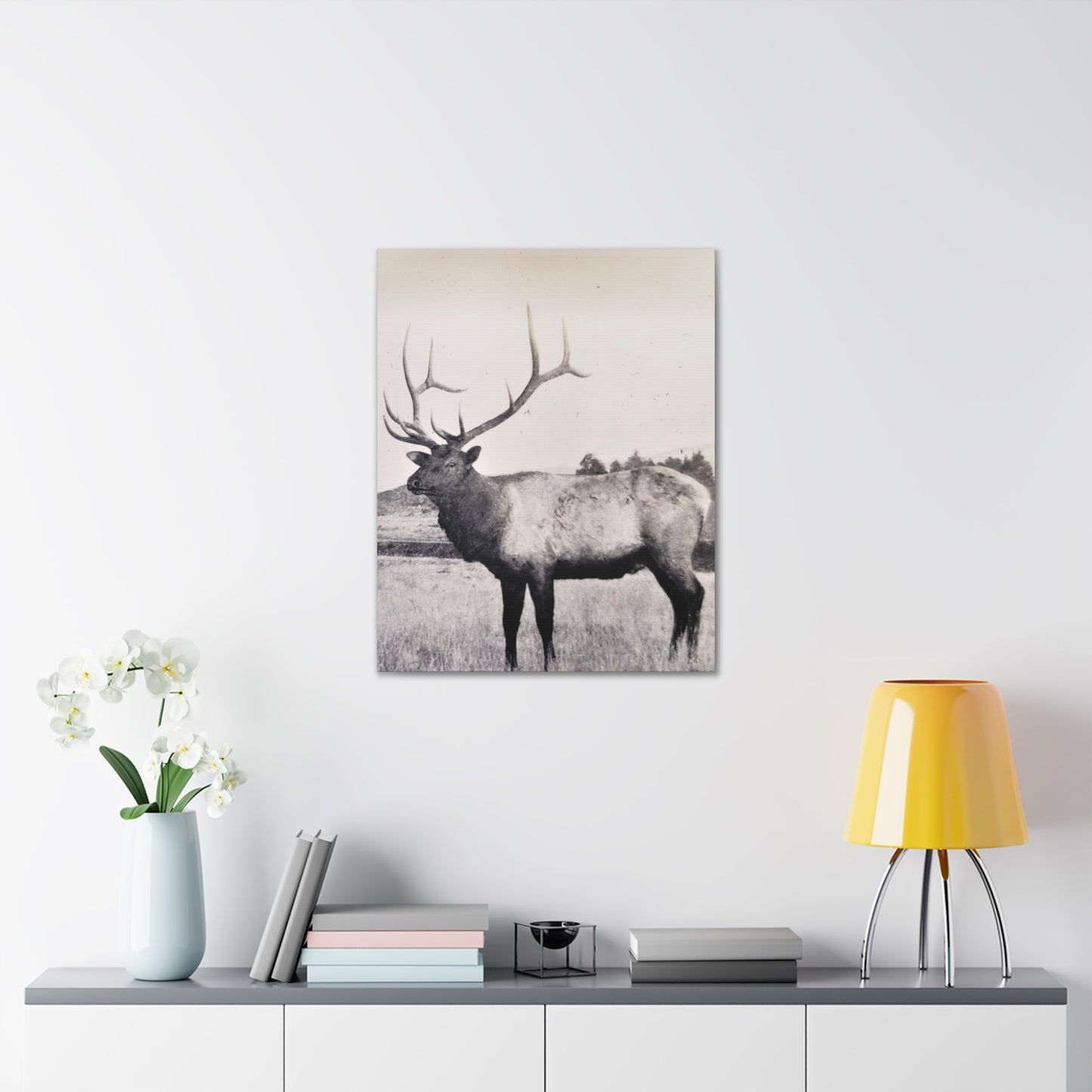 Yellowstone Bull Elk Canvas Gallery Wraps