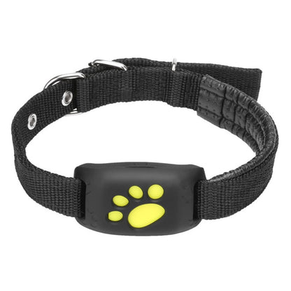 Pet GPS Tracker Collar - - collar