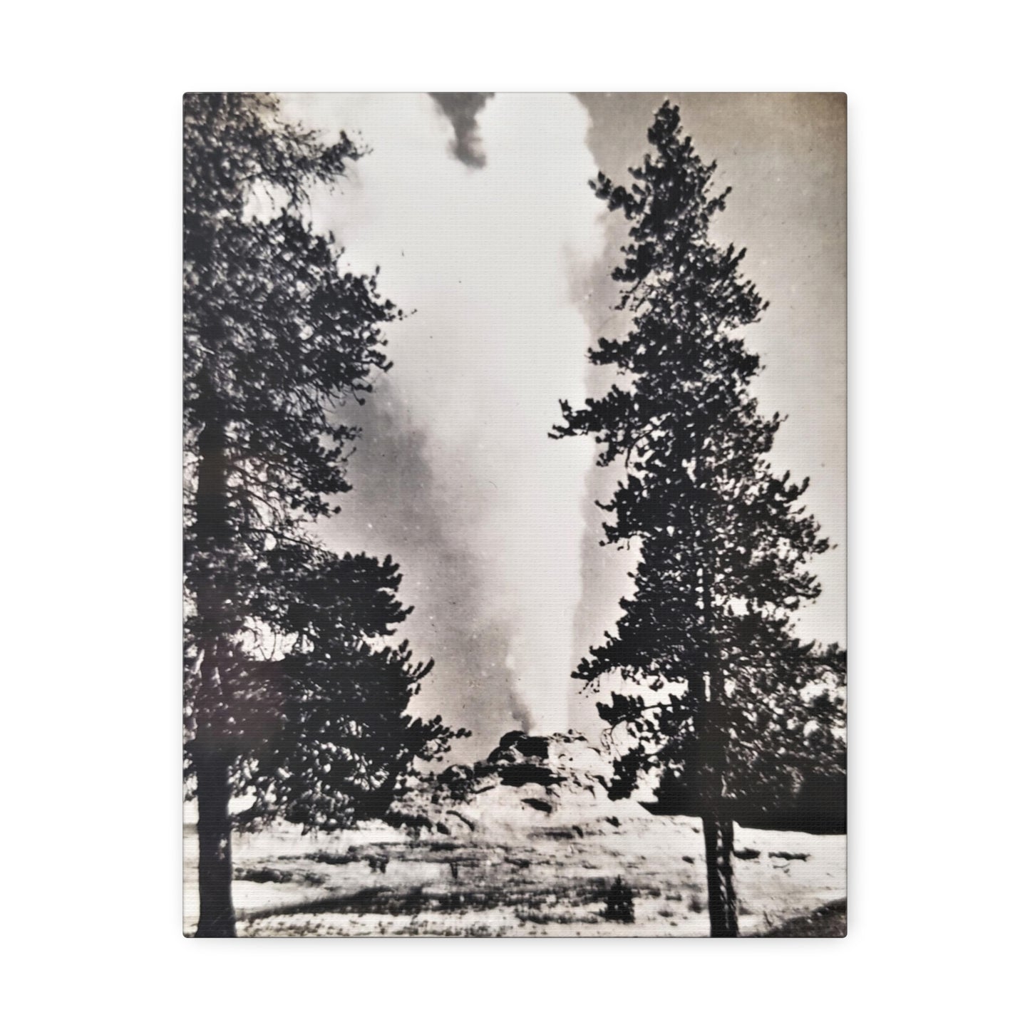 Castle Geyser Yellowstone Stretched Canvas