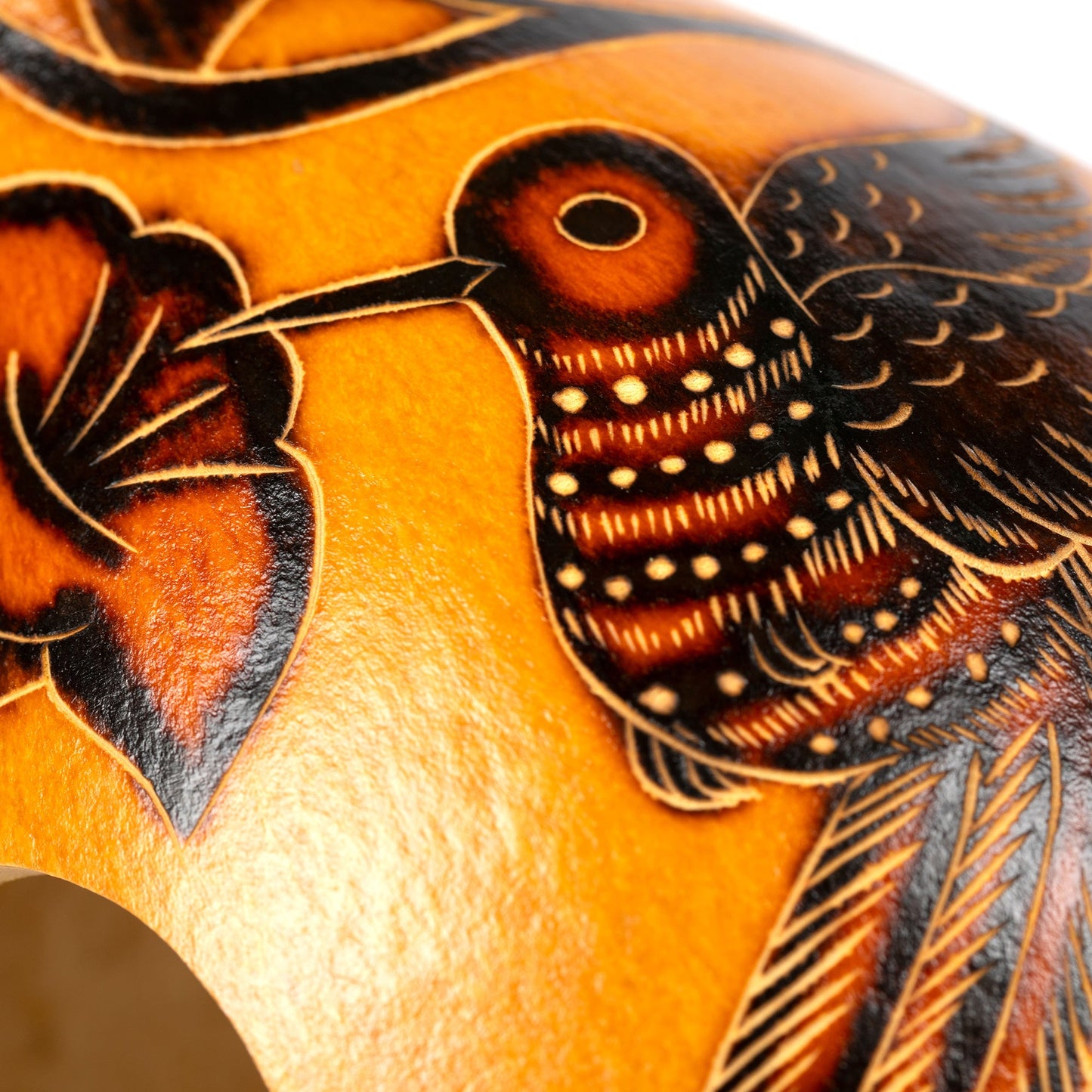 Hand Painted Gourd Birdhouse - - Birdhouses