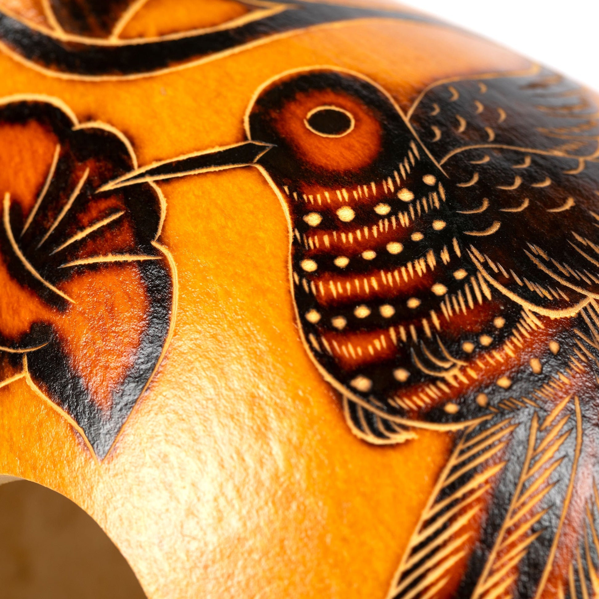 Hand Painted Gourd Birdhouse - - Birdhouses