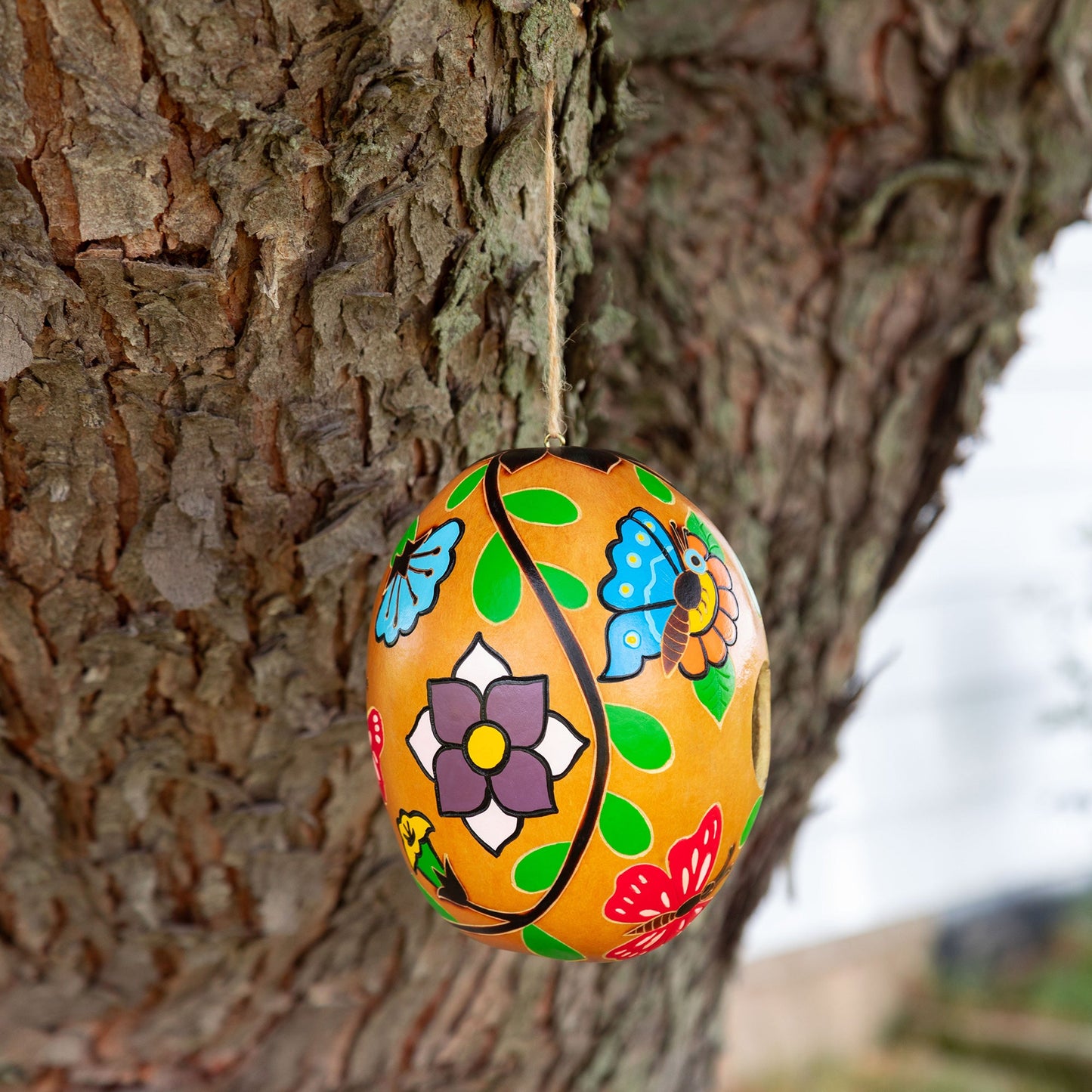 Hand Painted Gourd Birdhouse - - Birdhouses