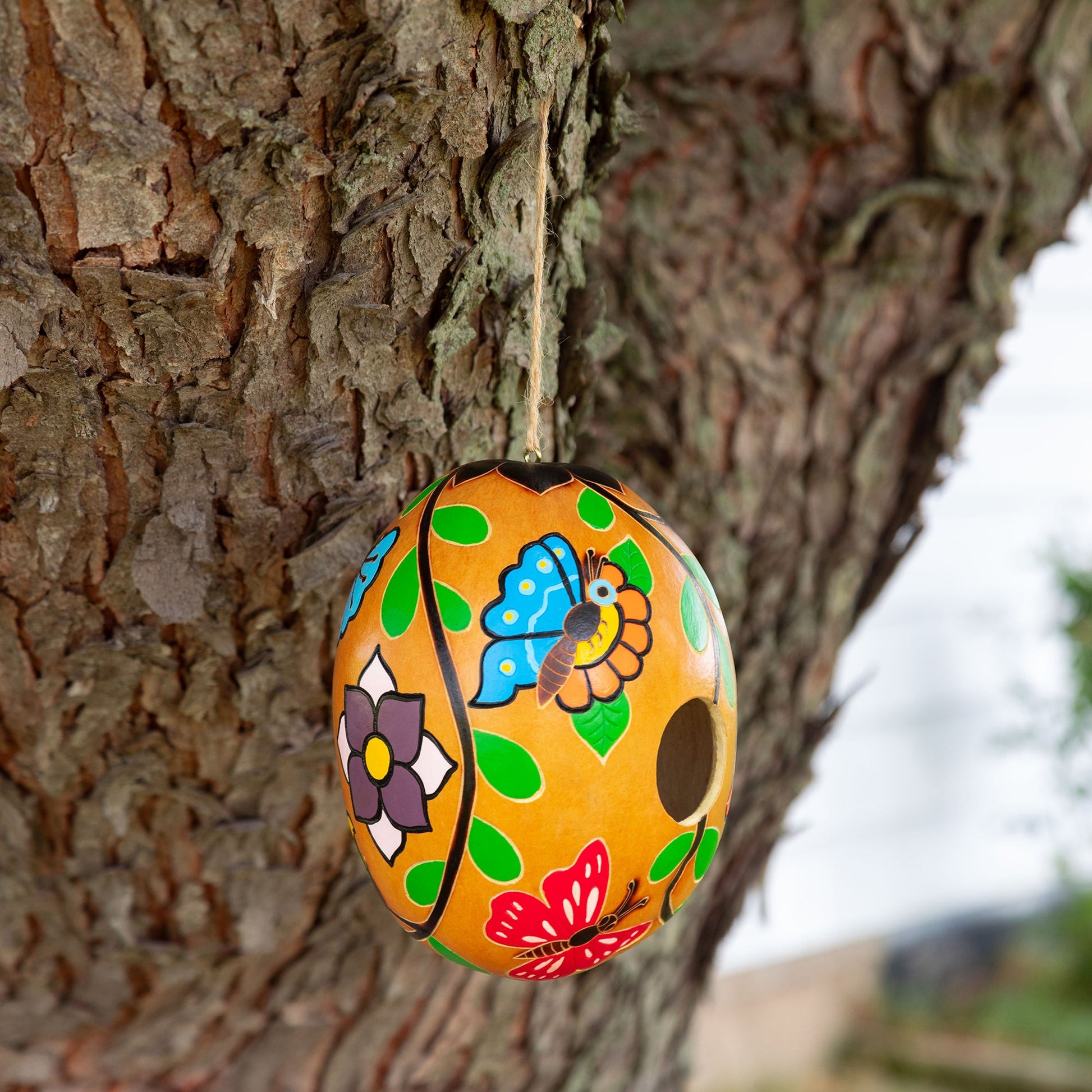 Hand Painted Gourd Birdhouse - Butterfly - Green - Birdhouses