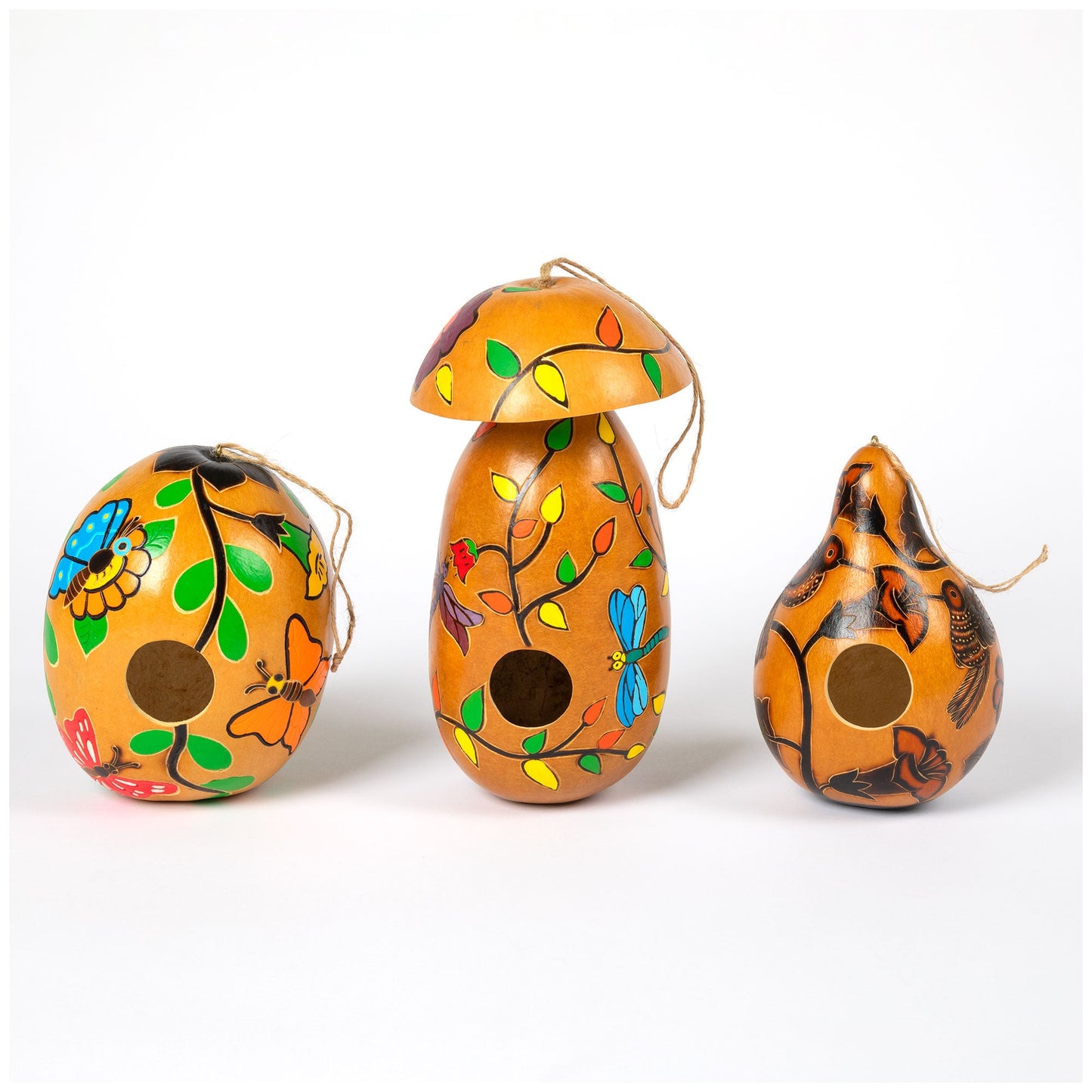 Hand Painted Gourd Birdhouse - - Birdhouses