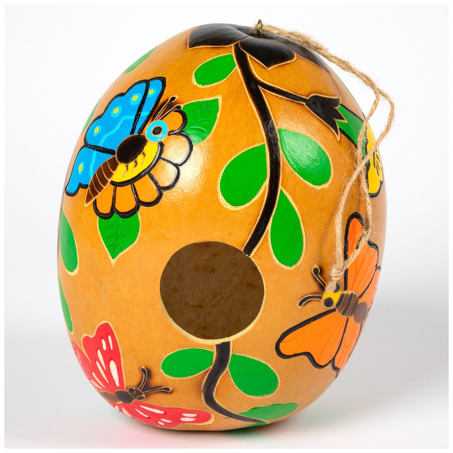 Hand Painted Gourd Birdhouse - - Birdhouses