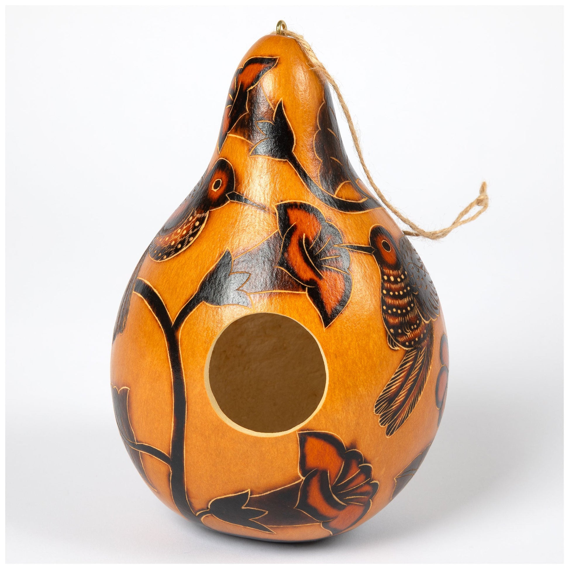 Hand Painted Gourd Birdhouse - - Birdhouses