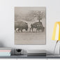 Buffalo at Redwood Falls Canvas Gallery Wraps 20″ x 24″ 1.25"