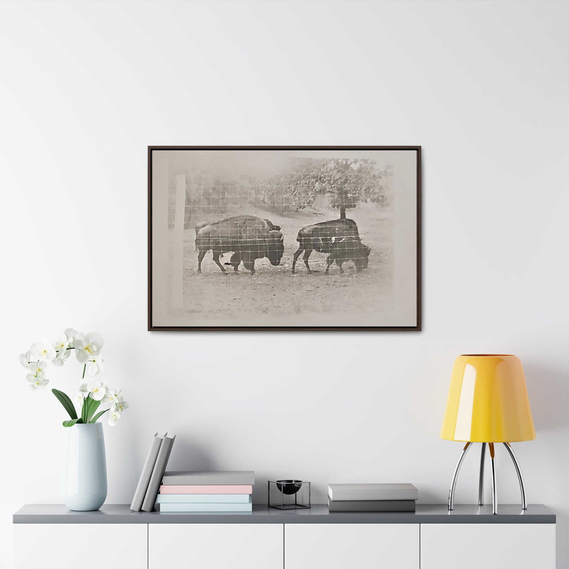 Buffalo at Redwood Falls Gallery Canvas Wraps Horizontal Frame 36″ x 24″ Walnut Premium Gallery Wraps (1.25″)