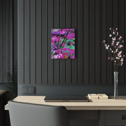 Fall Red Acrylic Prints 11″ x 14″ (Vertical) Glossy
