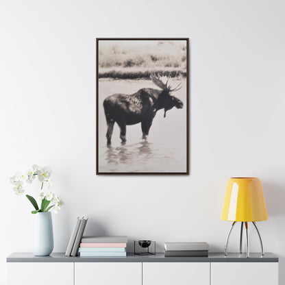 Yellowstone Bull Moose Gallery Canvas Wraps Vertical Frame 24″ x 36″ Premium Gallery Wraps (1.25″) Walnut