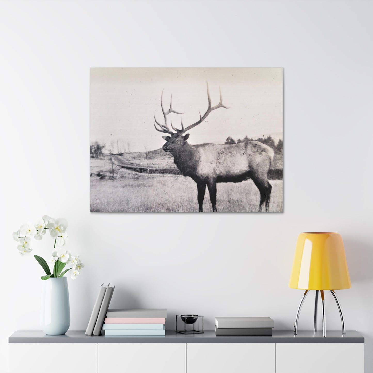 Yellowstone Bull Elk Canvas Gallery Wraps