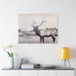 Yellowstone Bull Elk Canvas Gallery Wraps 40″ x 30″ 1.25"