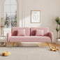 70.47" Pink Fabric Double Sofa with Split Backrest and Two Throw Pillows- V.I.P Digital Presence- {{Product type}}