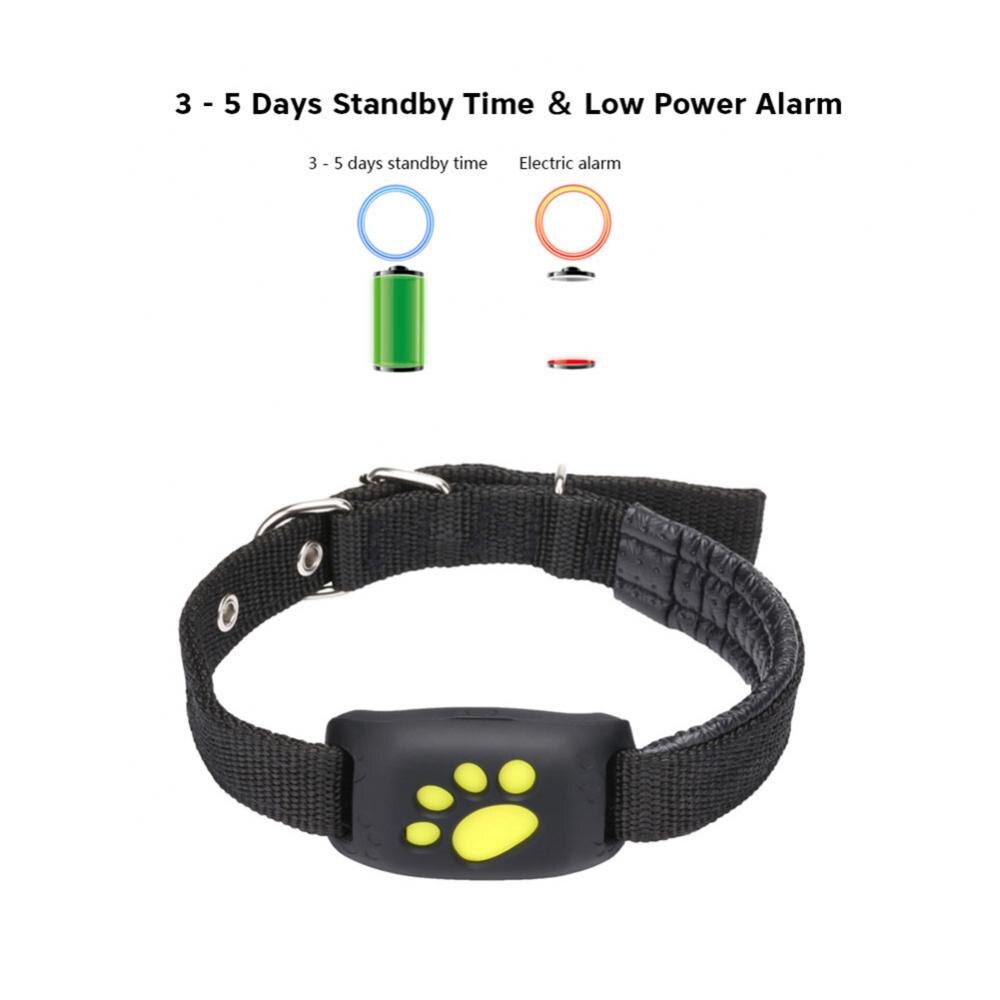 Pet GPS Tracker Collar - - collar