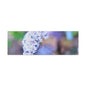 Macro Blue Canvas Gallery Wraps 36″ x 12″ 1.25"