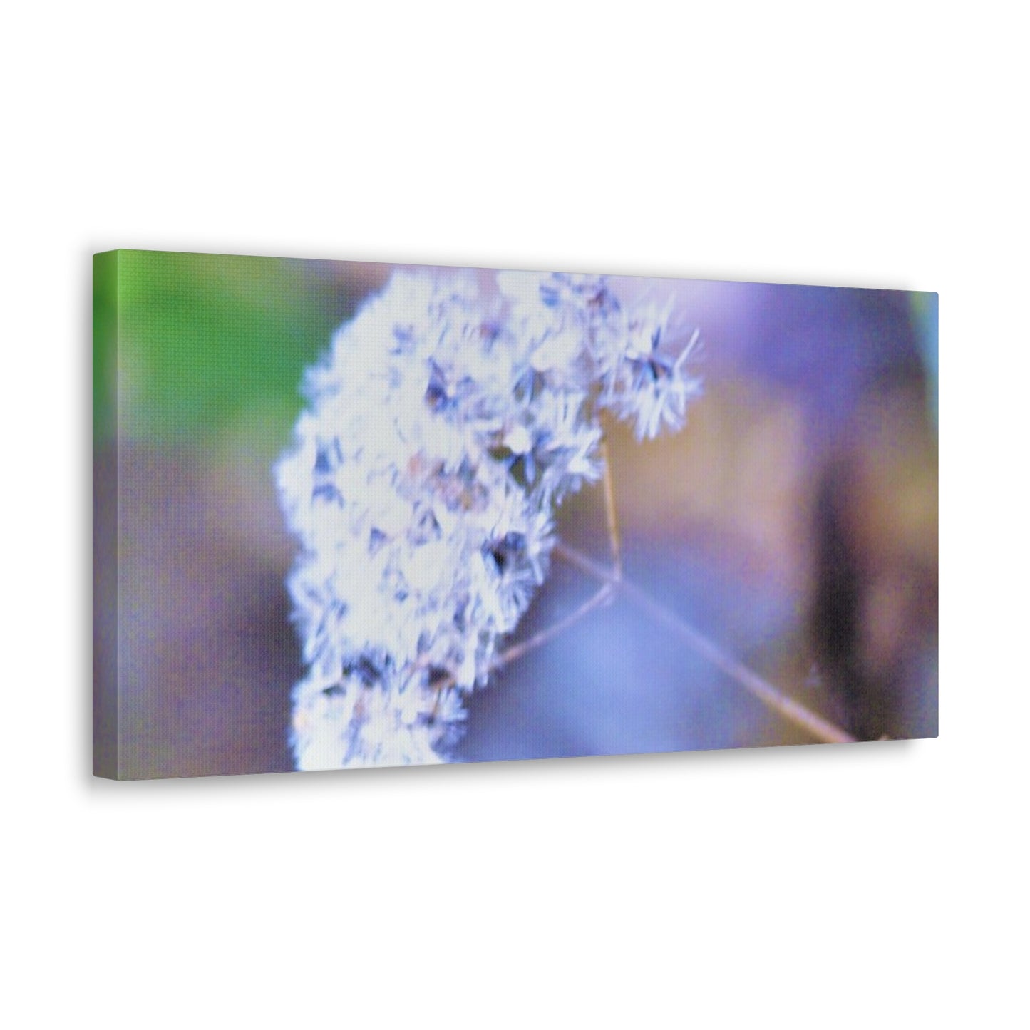 Macro Blue Canvas Gallery Wraps