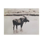 Yellowstone Bull Moose Satin Canvas, Stretched 24″ x 18″ (Horizontal) 1.5"