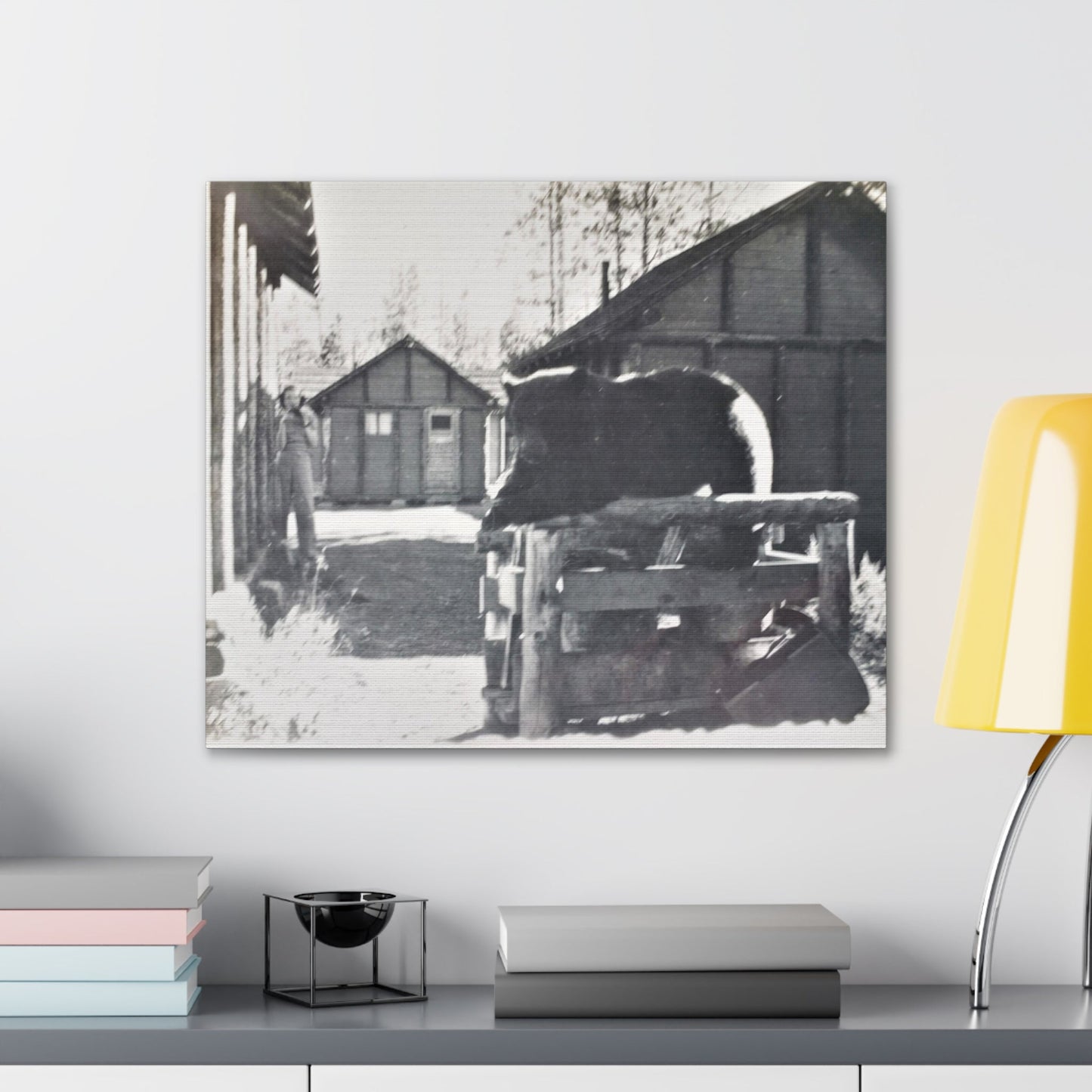 Yellowstone Bear Canvas Gallery Wraps 24″ x 20″ 1.25"
