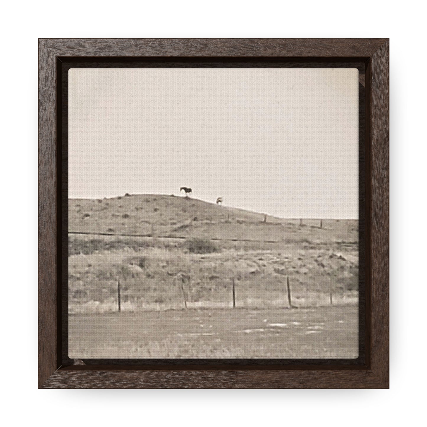 Outside Philip South Dakota Gallery Canvas Wraps, Square Frame