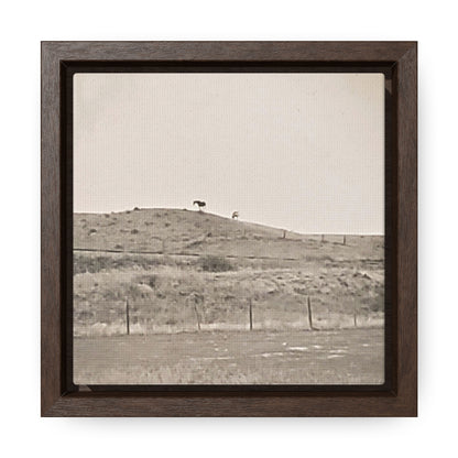 Outside Philip South Dakota Gallery Canvas Wraps, Square Frame