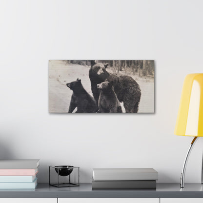 Yellowstone Black Bears Canvas Gallery Wraps 20″ x 10″ 1.25"