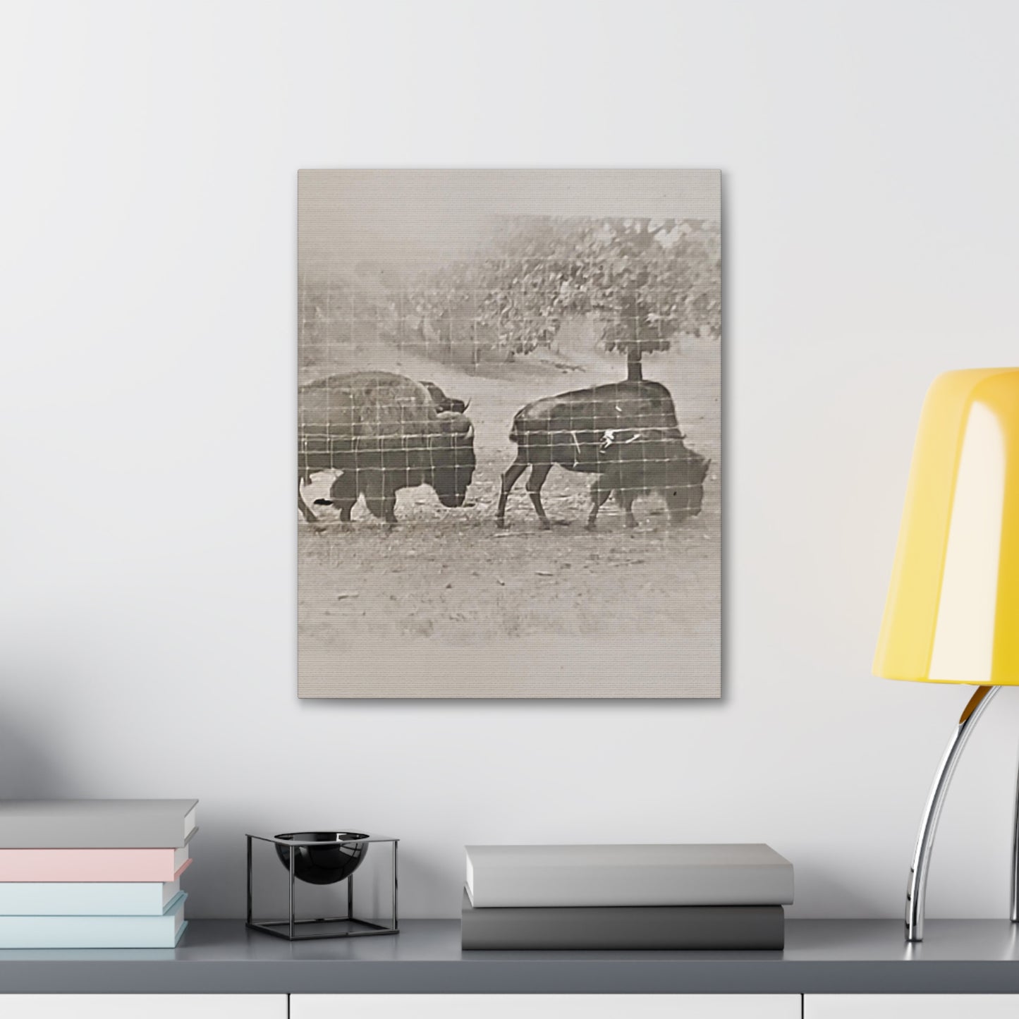 Buffalo at Redwood Falls Canvas Gallery Wraps