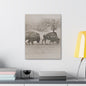 Buffalo at Redwood Falls Canvas Gallery Wraps 16″ x 20″ 1.25"