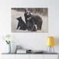 Yellowstone Black Bears Canvas Gallery Wraps 48″ x 32″ 1.25"