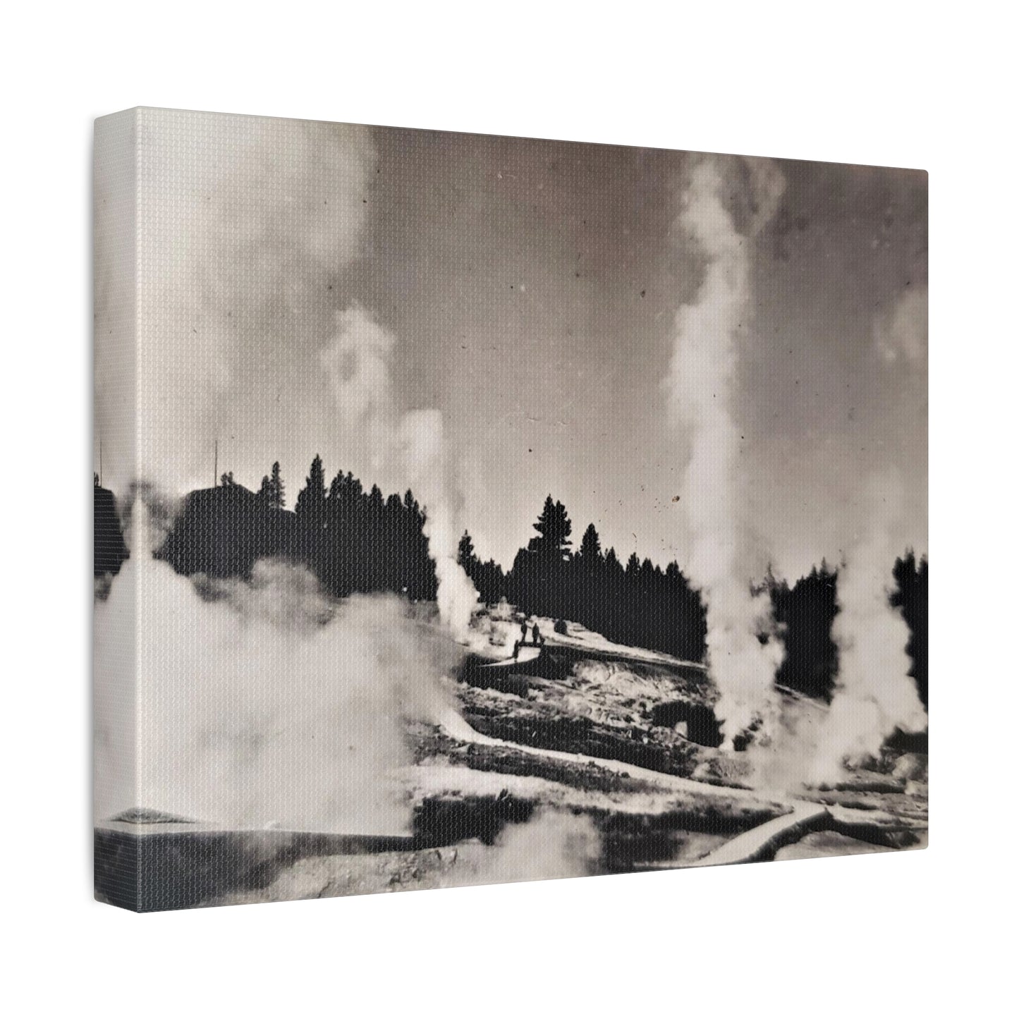 Norris Geyser Yellowstone Stretched Canvas