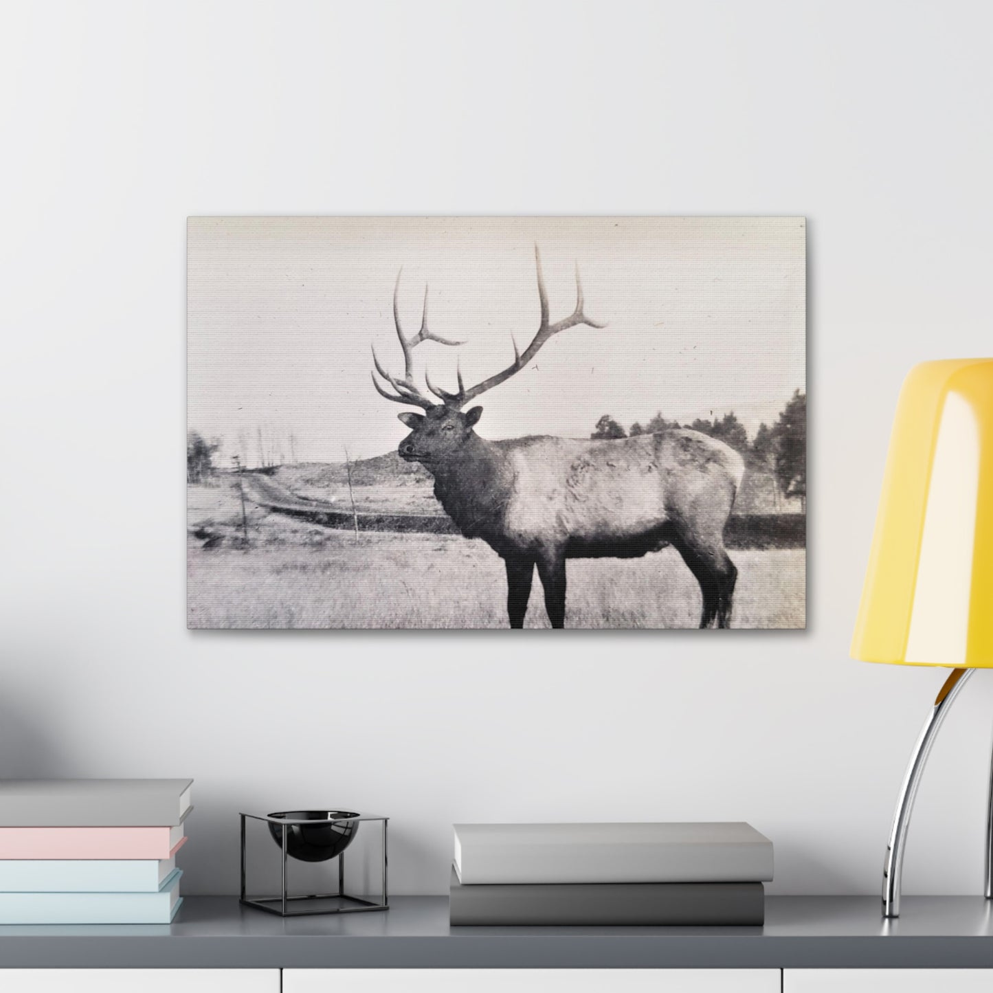 Yellowstone Bull Elk Canvas Gallery Wraps