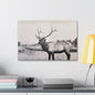 Yellowstone Bull Elk Canvas Gallery Wraps 24″ x 16″ 1.25"
