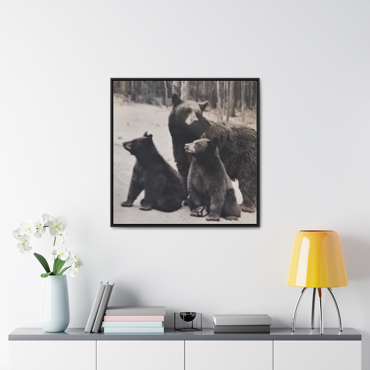 Yellowstone Black Bears Gallery Canvas Wraps, Square Frame