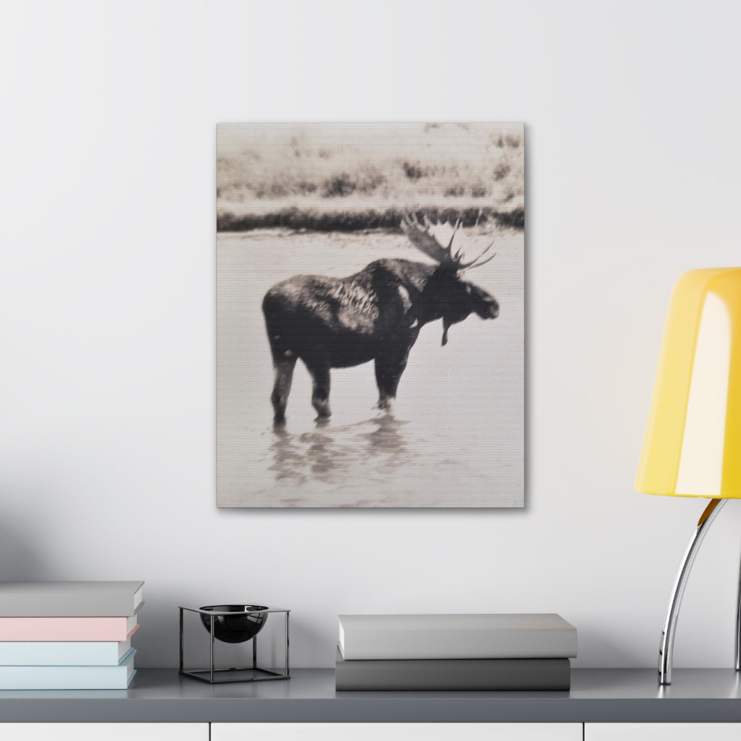 Yellowstone Bull Moose Canvas Gallery Wraps